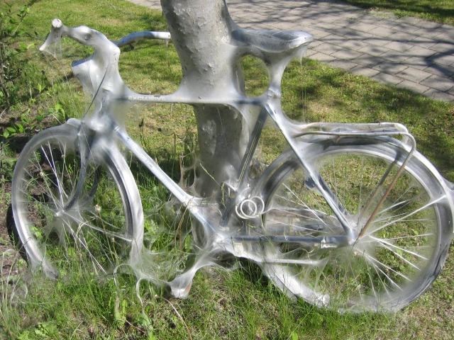 Cykel vid trd