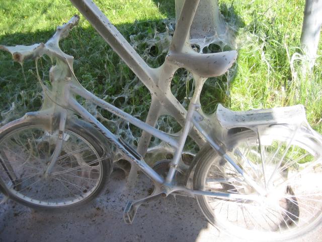 Cykel i cykelstДll