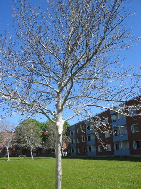 Närmare och närmare 2