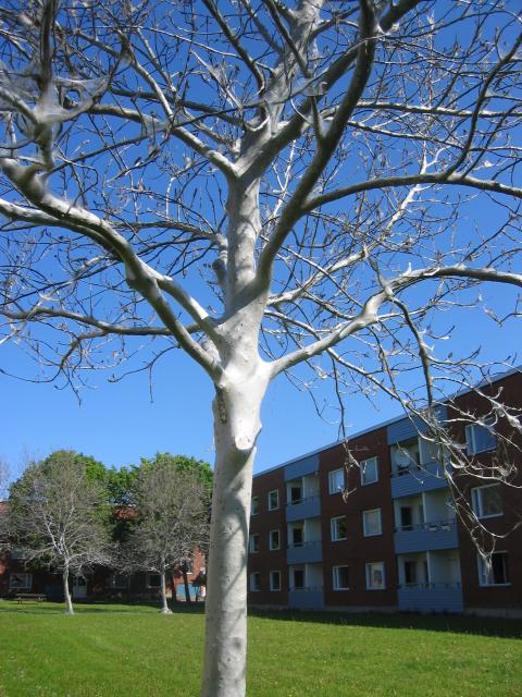 Närmare och närmare 3