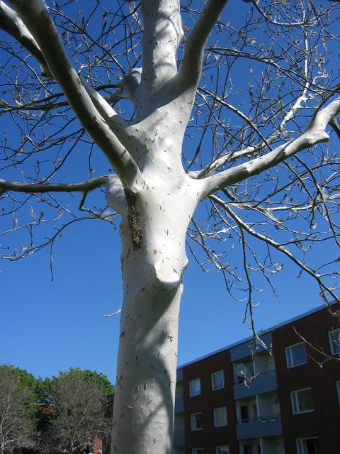 Närmare och närmare 4