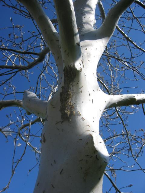 Närmare och närmare 5