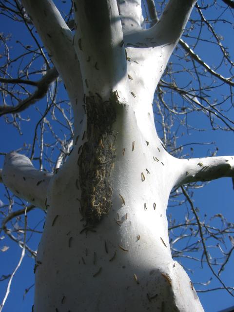 Närmare och närmare 6